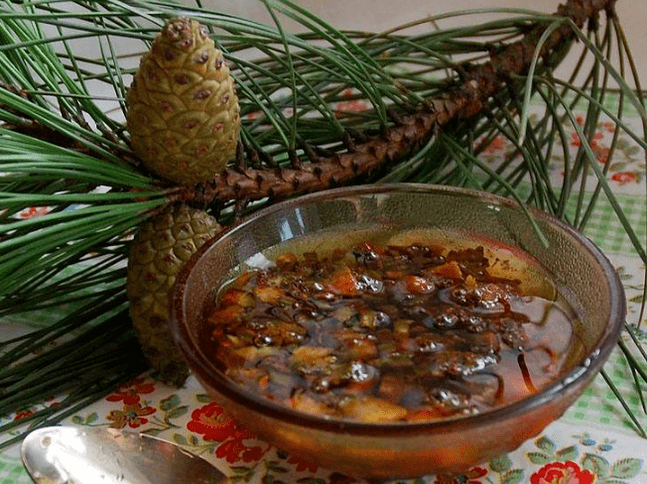 Pine -based decoction